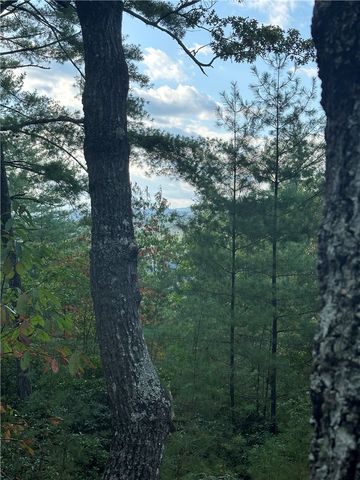 318 Ginseng Drive, Sunset, SC 29685