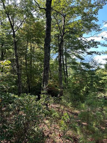 318 Ginseng Drive, Sunset, SC 29685