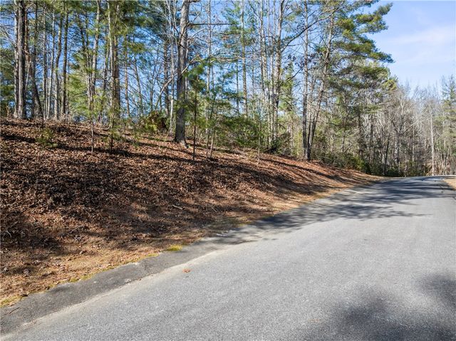 318 Ginseng Drive, Sunset, SC 29685