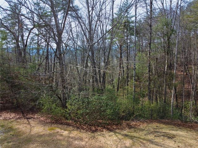 318 Ginseng Drive, Sunset, SC 29685