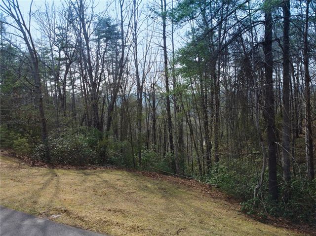 318 Ginseng Drive, Sunset, SC 29685