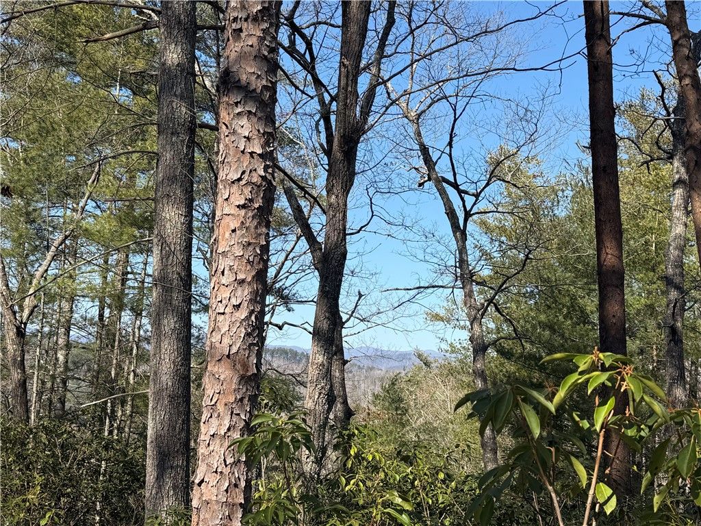 318 Ginseng Drive, Sunset, SC 29685