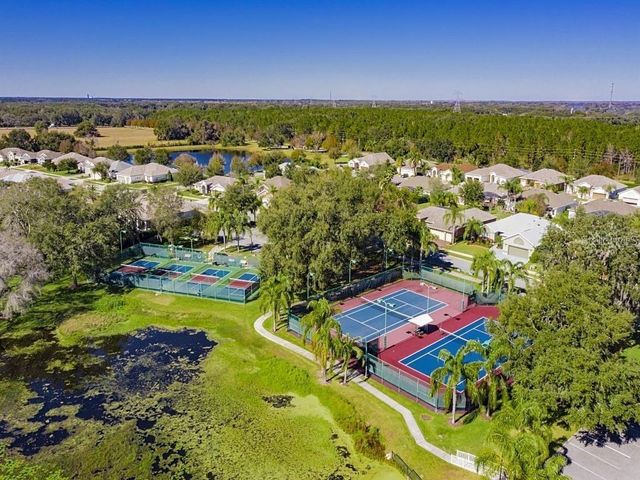 24403 AMBERLEAF COURT, Leesburg, FL 34748
