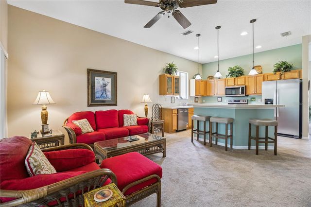 24403 AMBERLEAF COURT, Leesburg, FL 34748