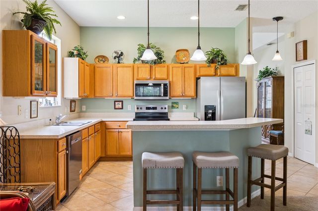 24403 AMBERLEAF COURT, Leesburg, FL 34748