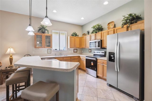 24403 AMBERLEAF COURT, Leesburg, FL 34748