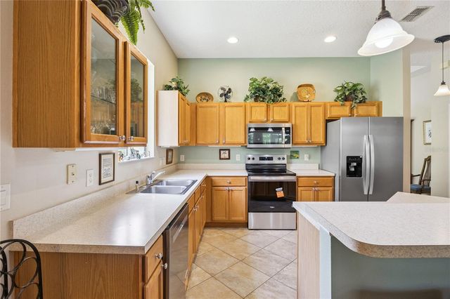 24403 AMBERLEAF COURT, Leesburg, FL 34748