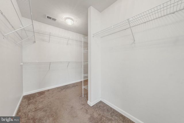 6101 BLACK OAK CT, Fredericksburg, VA 22407