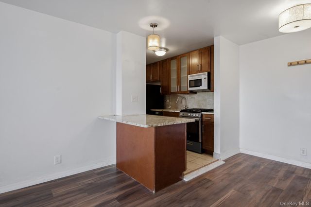 185 Hall Street 1717, Brooklyn, NY 11205
