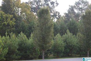 258 PARKVIEW DRIVE, Sylvan Springs, AL 35118