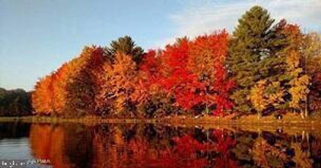 104 TEPEE DR, Pocono Lake, PA 18347