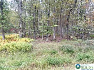 Willow Drive, Penn Forest Twp, PA 18229