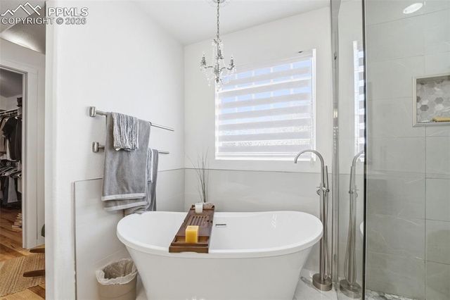 656 Junegrass Court, Colorado Springs, CO 80921