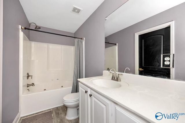 244 Village Springs Drive, Madison, AL 35756