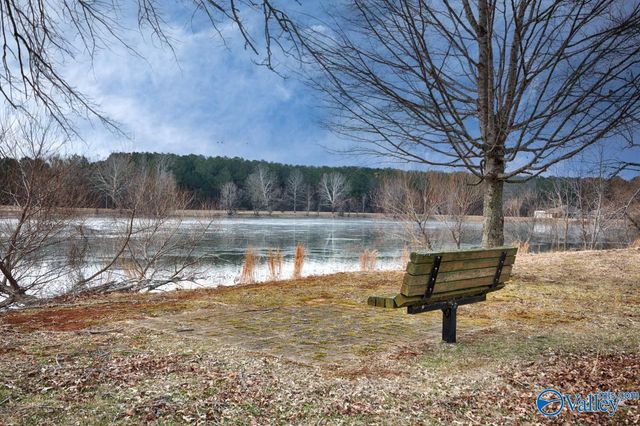 244 Village Springs Drive, Madison, AL 35756