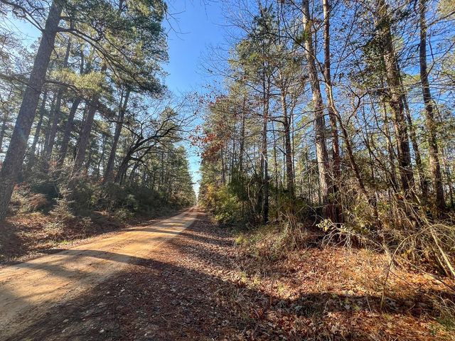 4 Highway 287, Pennington, TX 75845