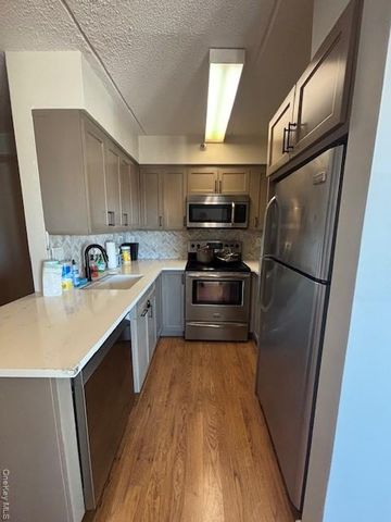 205 Mineola Boulevard 4D, Mineola, NY 11501