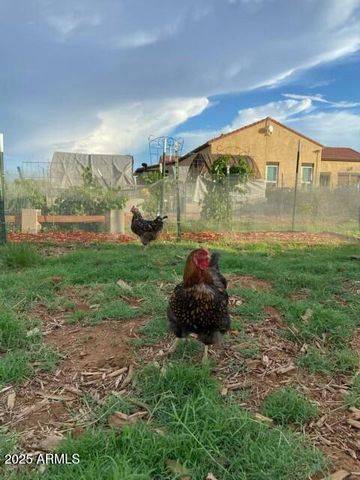 10379 E BLUE SKY Vista, Hereford, AZ 85615