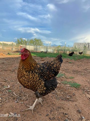 10379 E BLUE SKY Vista, Hereford, AZ 85615