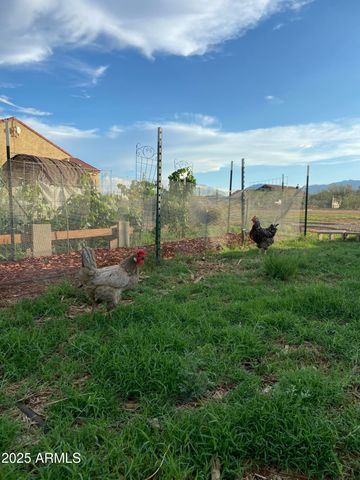 10379 E BLUE SKY Vista, Hereford, AZ 85615