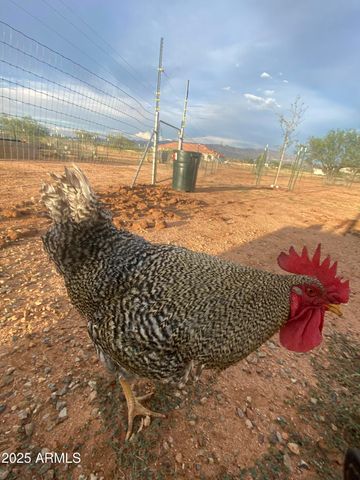 10379 E BLUE SKY Vista, Hereford, AZ 85615