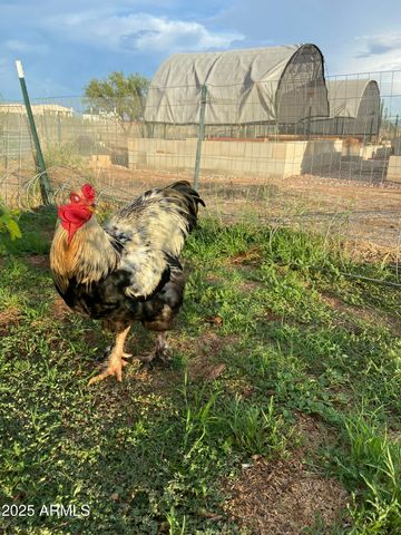 10379 E BLUE SKY Vista, Hereford, AZ 85615