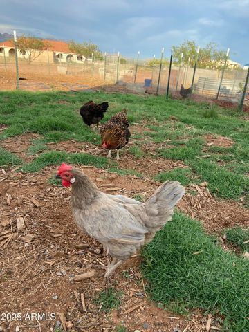 10379 E BLUE SKY Vista, Hereford, AZ 85615