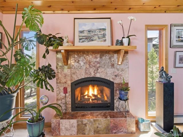 232 Highlands Dr, Bailey, CO 80421