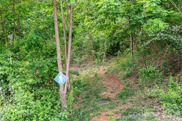 154 Wandering Oaks Way, Asheville, NC 28805