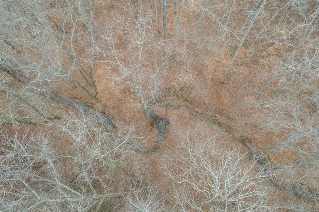 389 Wayne Townsend Ln, Parsons, TN 38363