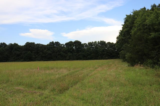 0 Laws Hill Road, Lewisburg, TN 37091