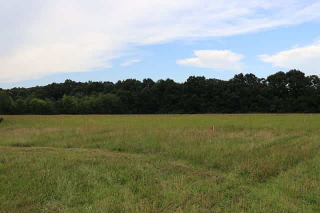 0 Laws Hill Road, Lewisburg, TN 37091