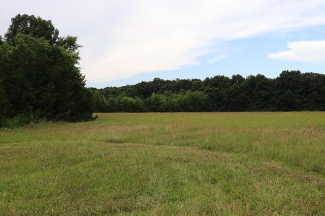 0 Laws Hill Road, Lewisburg, TN 37091