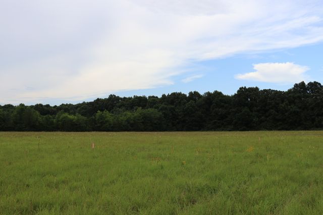 0 Laws Hill Road, Lewisburg, TN 37091