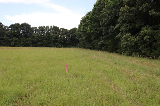 0 Laws Hill Road, Lewisburg, TN 37091