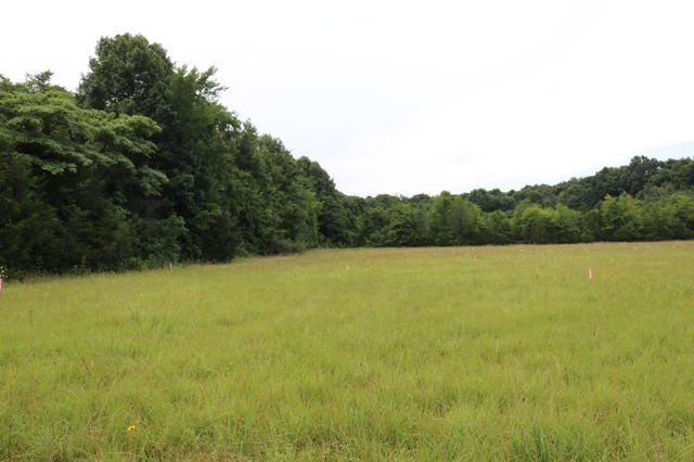 0 Laws Hill Road, Lewisburg, TN 37091