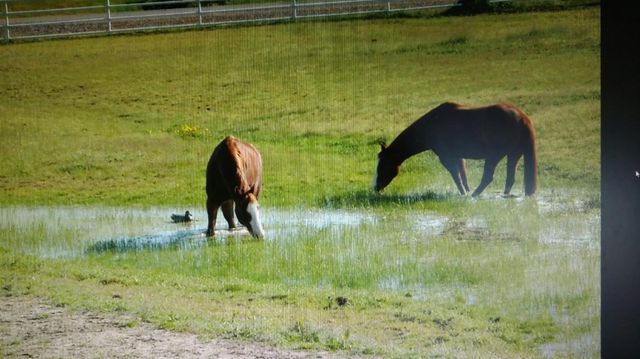 37647 Verde Avenue, Madera, CA 93636