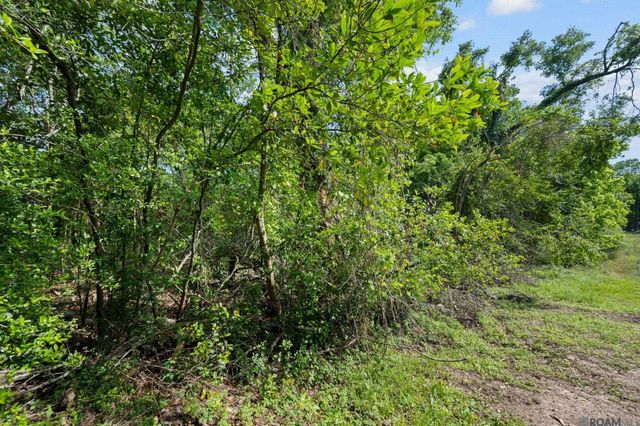 7122 Highland, Baton Rouge, LA 70808