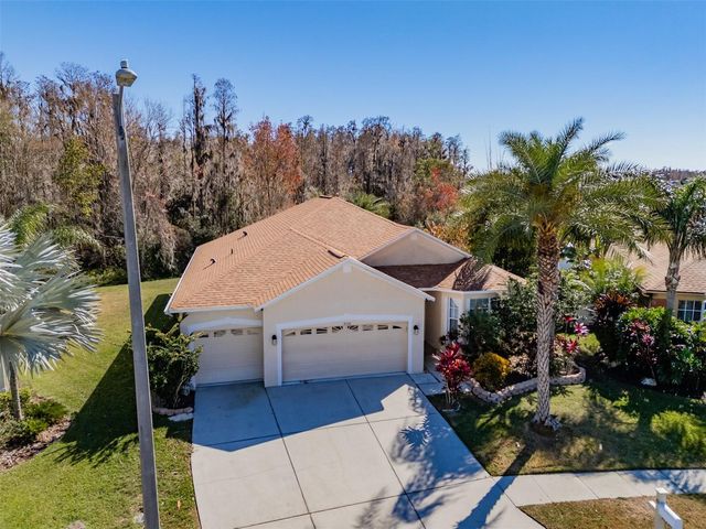 31230 ALCHESTER DRIVE, Wesley Chapel, FL 33543