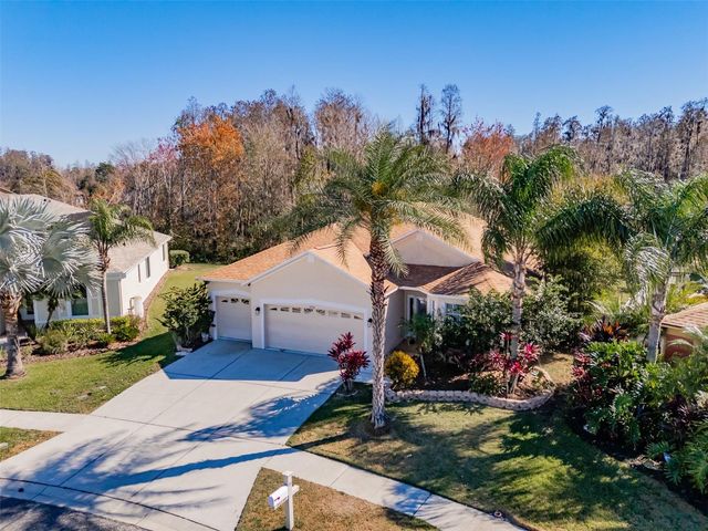 31230 ALCHESTER DRIVE, Wesley Chapel, FL 33543