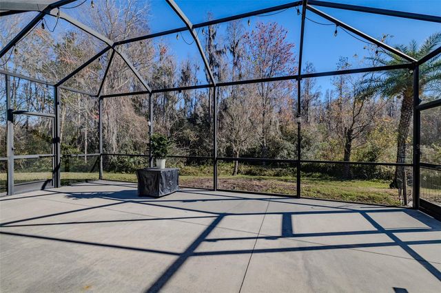 31230 ALCHESTER DRIVE, Wesley Chapel, FL 33543