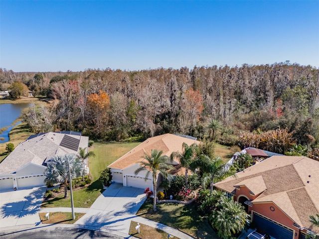 31230 ALCHESTER DRIVE, Wesley Chapel, FL 33543