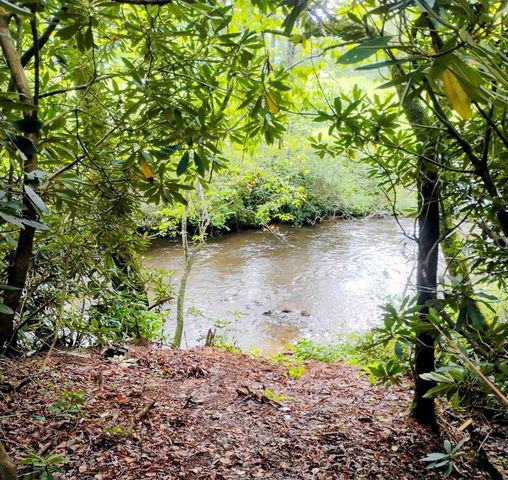 586 Newport Road, Blue Ridge, GA 30513