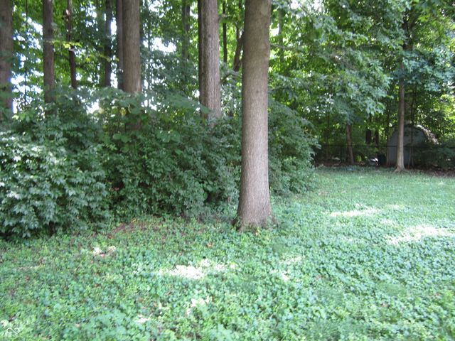 5269 Thrasher Drive, Indianapolis, IN 46254