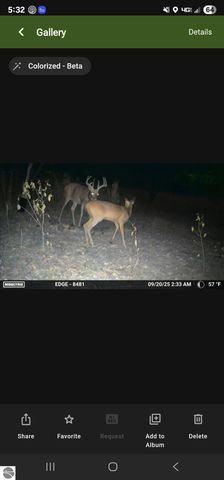 2790 S Gilmore Road, Mt Pleasant, MI 48858