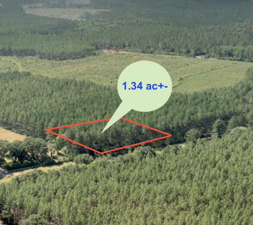 Image 1 of property listing at 1.34 Acres N Hwy 85, Laurel Hill, FL 32567