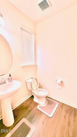 2716 Dilly Dally Court, Apex, NC 27539