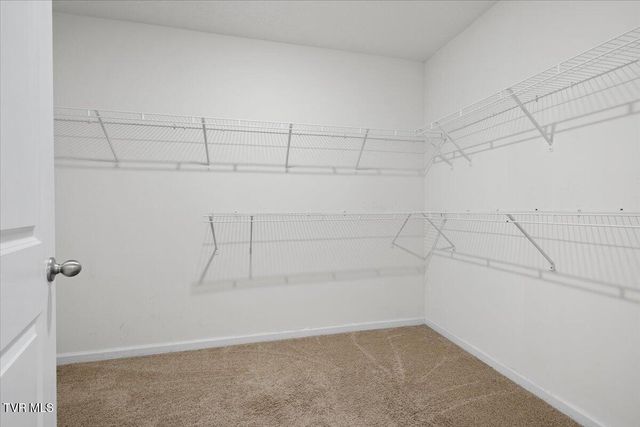 464 Brinkleys Way, Johnson City, TN 37615