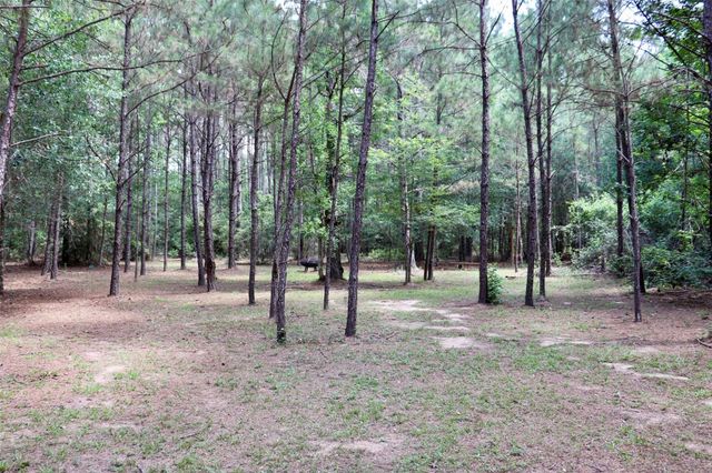 1250 Meekins Road, Cleveland, TX 77328