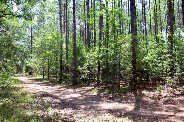 1250 Meekins Road, Cleveland, TX 77328